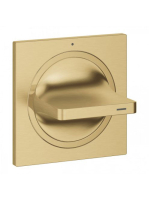 Grohe Allure Csempeszelep fogantyú, matt arany 19334GN1 - Fü
